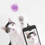 KIKKERLAND KITTY PHONE CLIP Clip Téléphone Jouet Chat pour Photos Parfaites