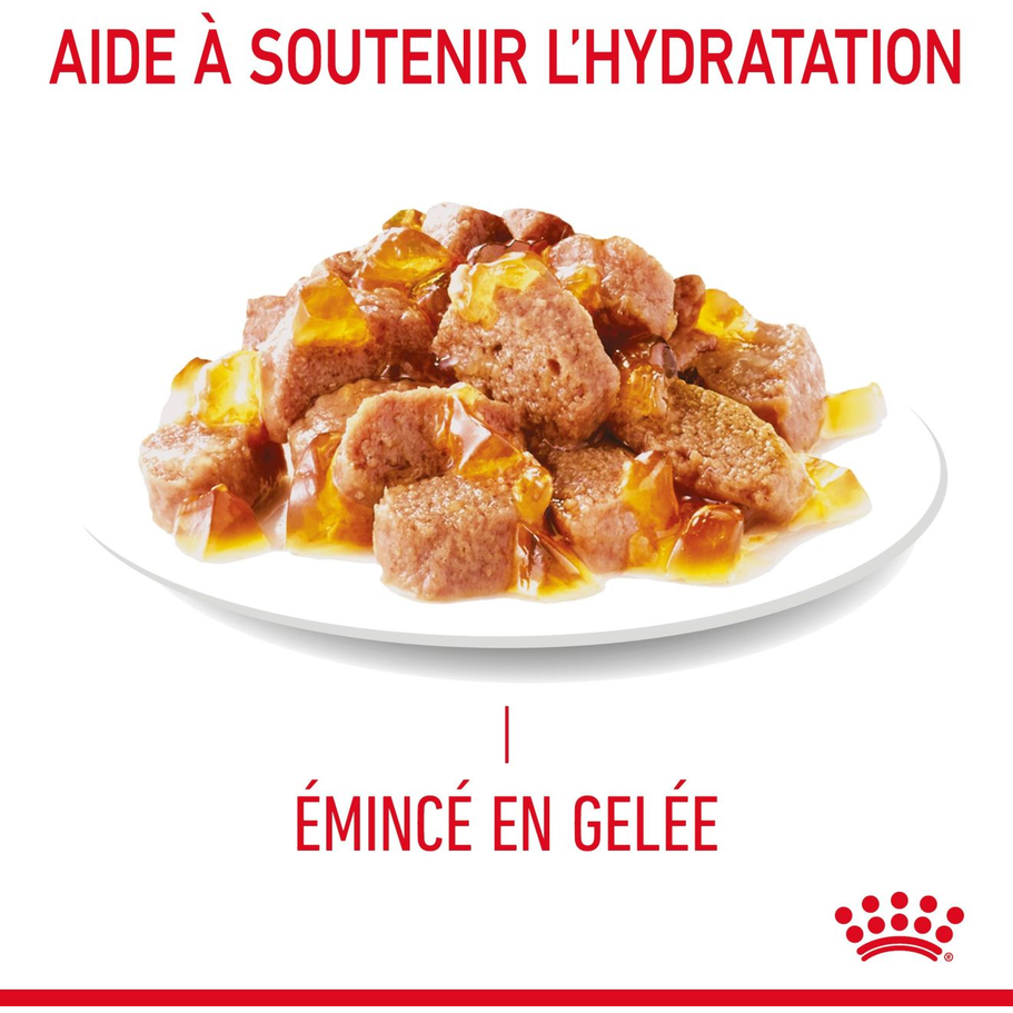 ROYAL CANIN Appetite Control Care Gelée 12x85g