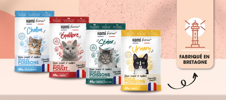 HAMIFORM Pack Repas Complet Poisson Chaton 10x85g