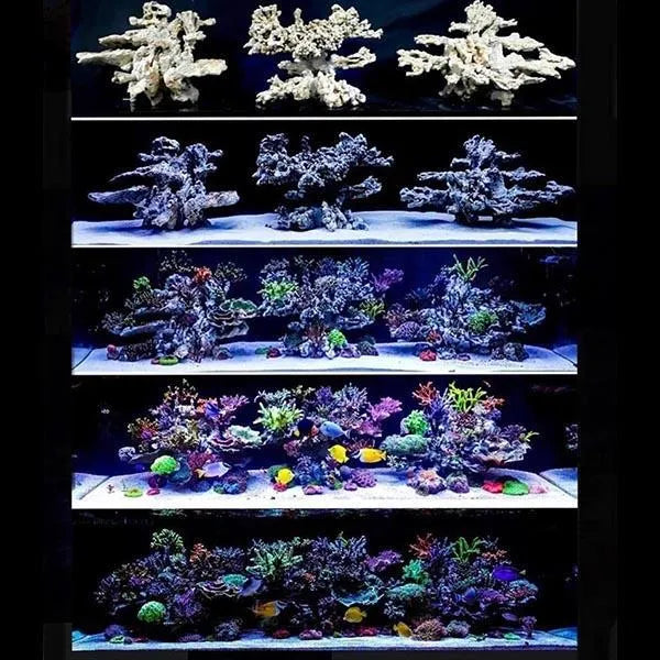 ARKA BIOTECHNOLOGIE Roche Céramique Column Nature 40cm