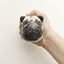 KIKKERLAND Feeling Ruff? Stress Balls Balles anti-stress chien Assortis PU 8,5x6,7x7,7cm