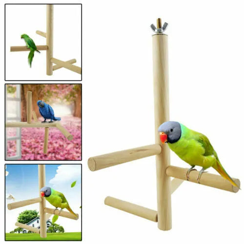 COUNTRY Country Sticks grande perruche Kiwi & Poire 2x70g