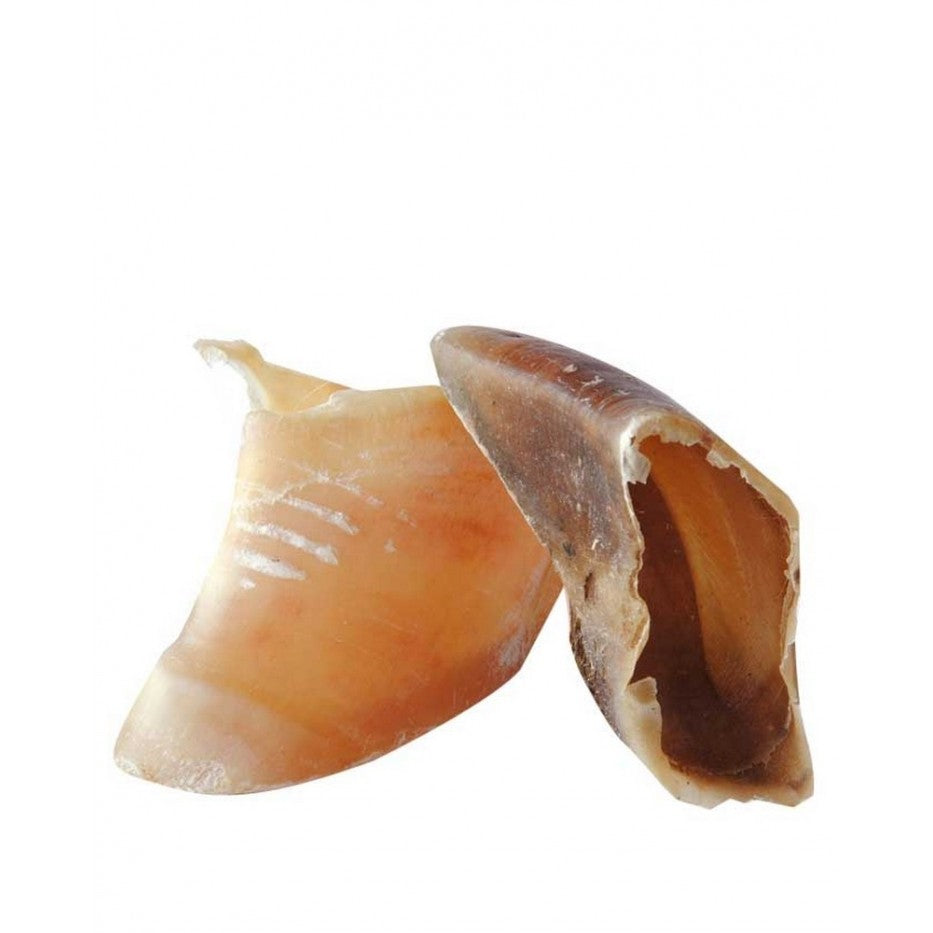 ZOOMALIN Sabot de Bœuf Évidé Friandise Naturelle pour Chien