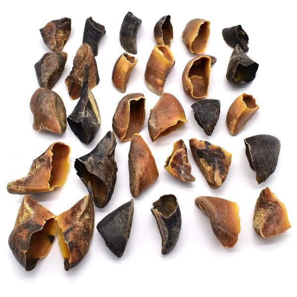 ZOOMALIN Sabot de Bœuf Évidé Friandise Naturelle pour Chien