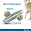 SERESTO Collier Antiparasitaire Chat 1 collier 38cm