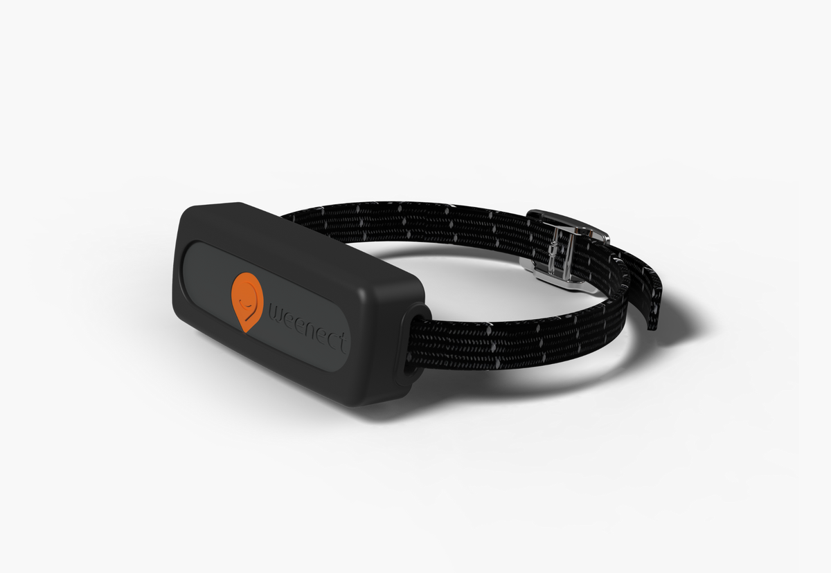 WEENECT XS Traceur GPS pour chat, noir
