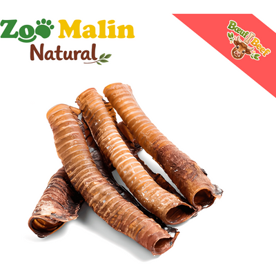 ZOOMALIN Trachée de Bœuf 8cm