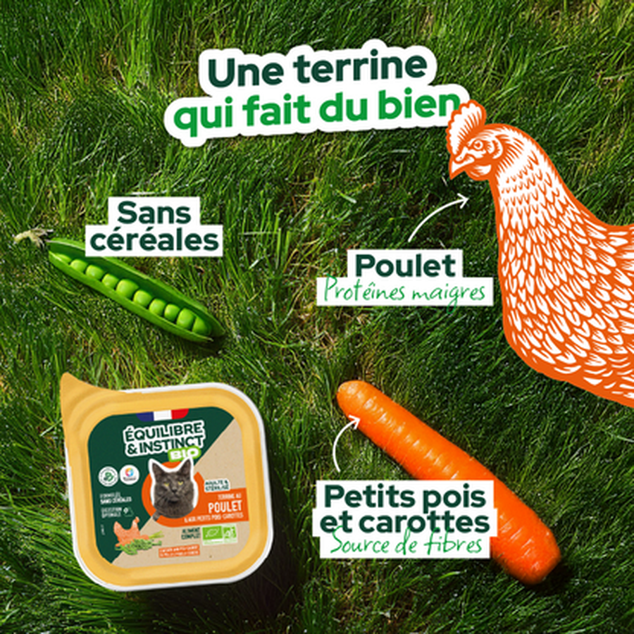 EQUILIBRE & INSTINCT Terrine BIO pour chien adulte riche en volaille et petits pois 300g